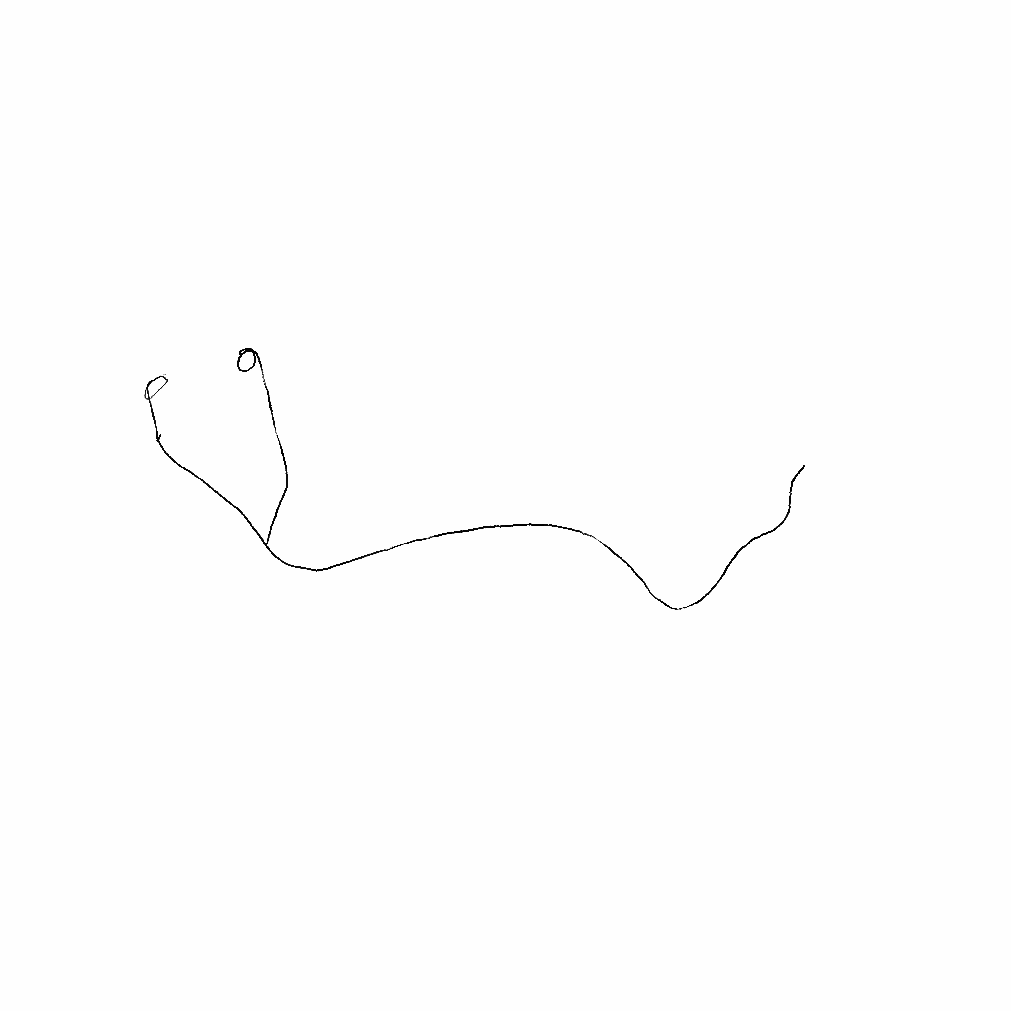 Animation