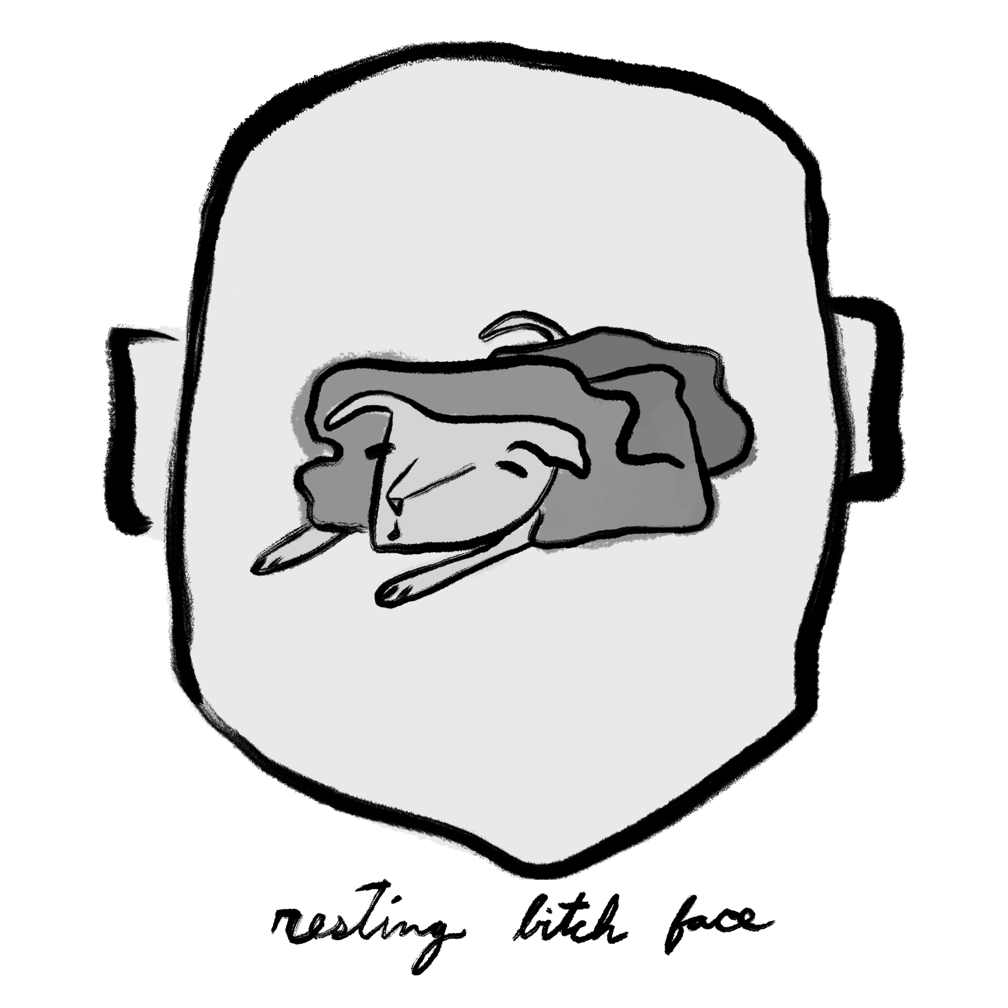 Misc